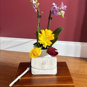 Mickey Mouse Coach clutch